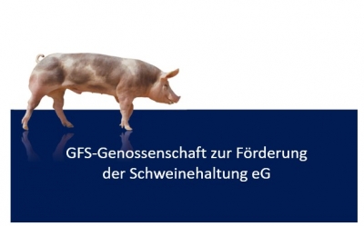 We are happily announcing our cooperation with GFS.